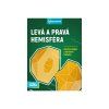 Mozkovna - Left & Right Hemisphere