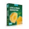 Mozkovna Ľavá & Pravá hemisféra