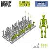3d printed set human skeletons 135