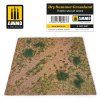Dry Summer Grassland