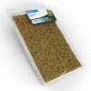 weed tuft autumn