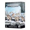 99120101352 FenrisianWolvesStock