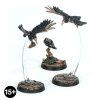 99850599056 CawdorSheenBirdsLead