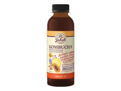 Kombucha Echinacea 1080 jpg