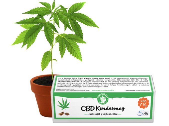 742 cbd kendermag 5db