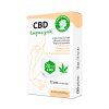 508 cbd tapasz 12 db
