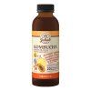 Kombucha Echinacea 1080 jpg