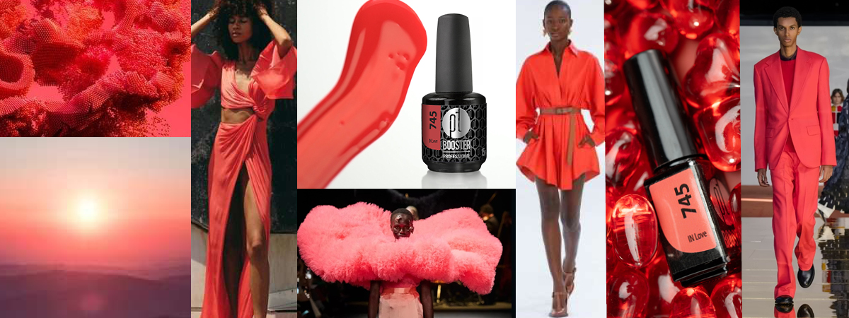 trendy_blog2
