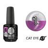Platinum LED-tech BOOSTER COLOR - Cat Eye Thermo - Tesla (731), 15ml