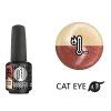 Platinum LED-tech BOOSTER COLOR - Cat Eye Thermo - Newton (729), 7,8ml