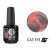 Platinum LED-tech BOOSTER COLOR - Cat Eye Divine - Hera (736), 15ml - Gel-lak BEZ PILOVÁNÍ