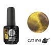Platinum LED-tech BOOSTER COLOR - Cat Eye Divine - Zeus (739), 15ml