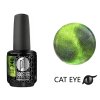 Platinum LED-tech BOOSTER COLOR - Cat Eye Divine - Demeter (740), 15ml - Gel-lak BEZ PILOVÁNÍ