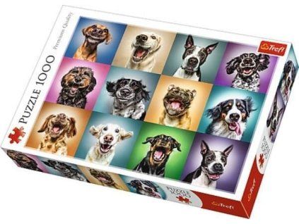 7de3c17ad033bf22e067aa7f442f8139