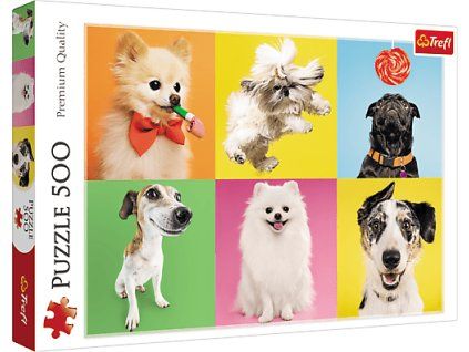 864ab3d9d647afc16e35efb1a83d4f9b