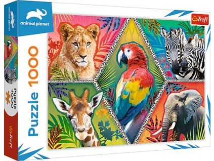 78f4cc8d77792a39ab32f244828acbd6