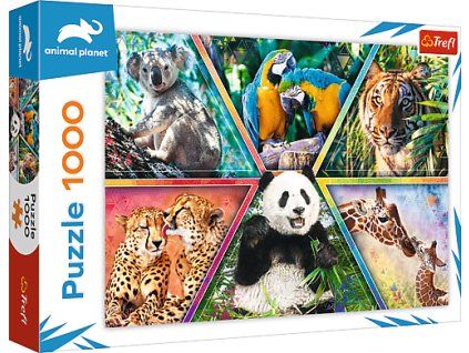 51a5e20be9cae993adcfae13053593ad