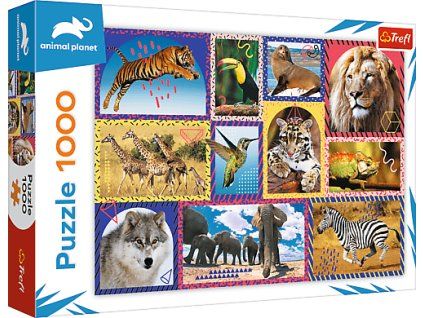 6353e123dbdad670d7e392bd31a142af