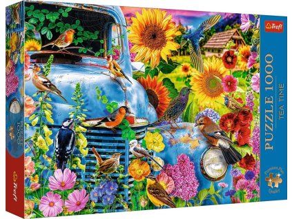 8a99357f5cca51d79aed175f00ebd389