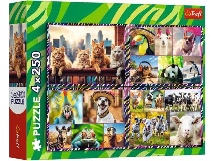 bf3bb3929a166fa728f561c2721ffccb