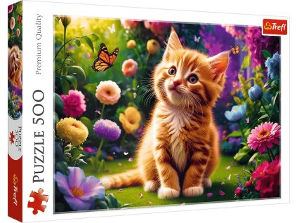 e6cae5dabc2327944cc04fd1b899f541