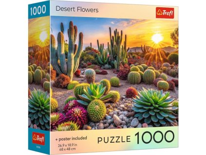 5dcd665a0a96d3ca4ec5425928fee9c8