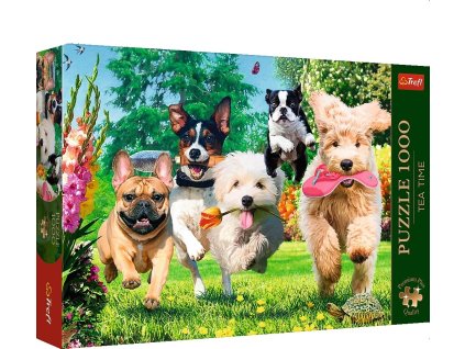 25317a47d1bcf2f17ec1cea2e0d58abb