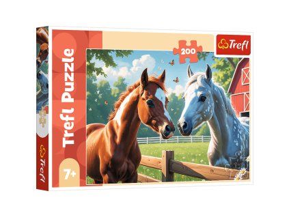 25e4853b74208ec21697b1027f3a8719