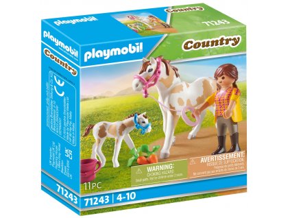 Playmobil 71243