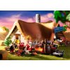 ASTERIX: Alfabetixova chýše PLAYMOBIL® 71266 (5)