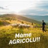 Agricola playnaut