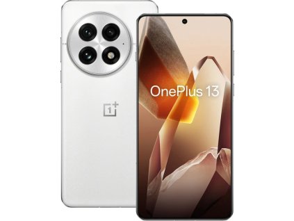 3954 oneplus 13 16gb 512gb arctic dawn