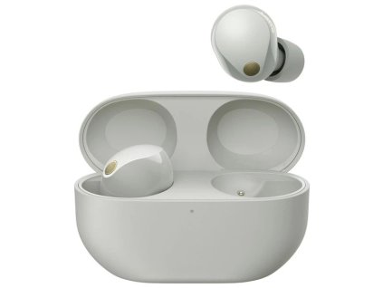 4077 sony wf 1000xm5 platinum silver