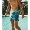 Kopija dokumentu swim shorts 1 416x499