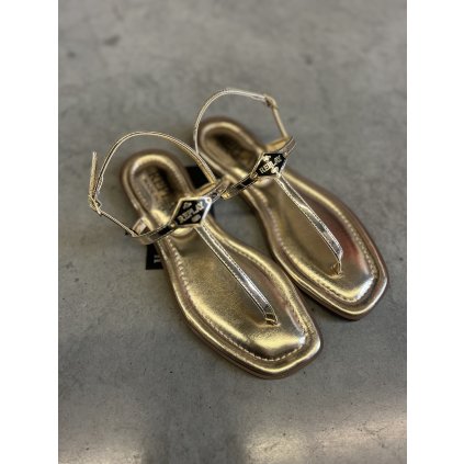 858C74B0 77DE 4037 BA6B 22A70F8C0287