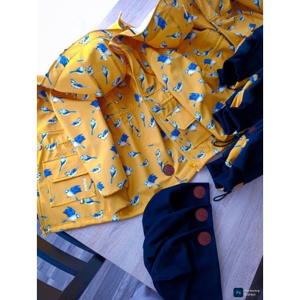 625958920 1580717046871695 2680740091363706778 n