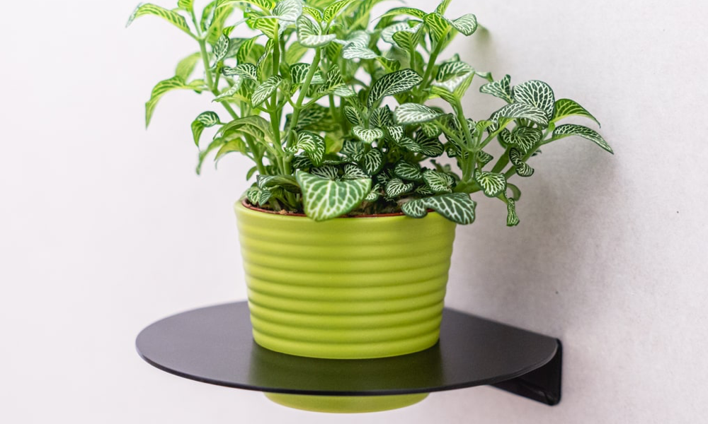 Kovové police na květiny - s plechounem žádná nuda!