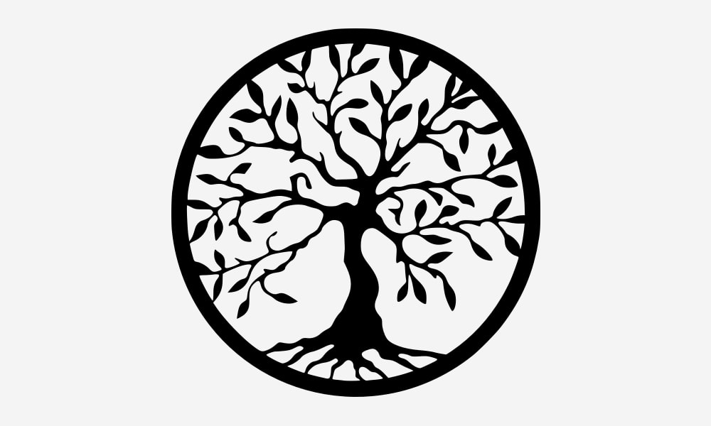 Strom života význam: kořeny moudrosti