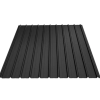 T 12 RAL 9005