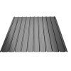 T 12 RAL 7024
