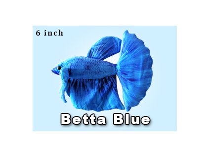 PLYŠÁK BETTA BLUE FISH