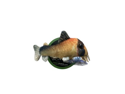 PhotoRoom 20240202 142947 2