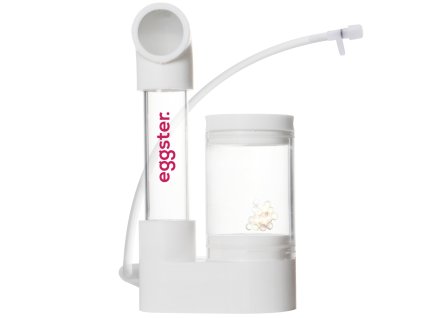 incubateur eggs 1000px