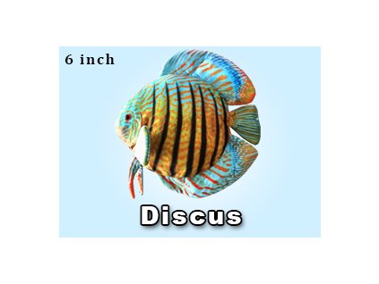 Discus plyšák