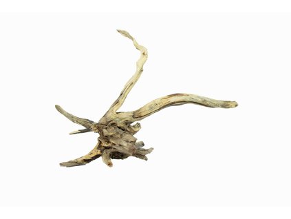 KOŘEN  BLACK SLIM WOOD S