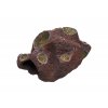 Meteorite brown 8