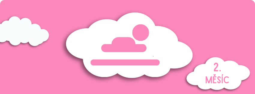 2. měsíc stáří
