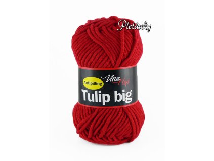 Příze Tulip Big 4019