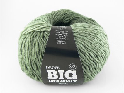 Příze DROPS Big Delight 20 - deštný prales