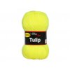 Tulip 4312